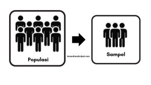populasi dan sampel